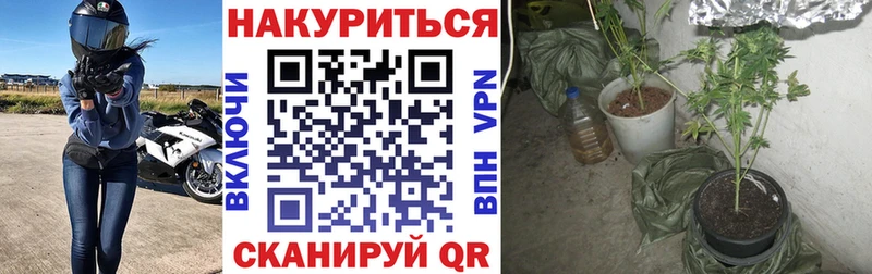 Купить закладку Навашино ЭКСТАЗИ  СК  ГАШ  Марихуана 