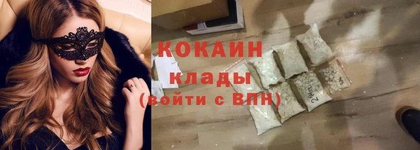 дурь Бронницы