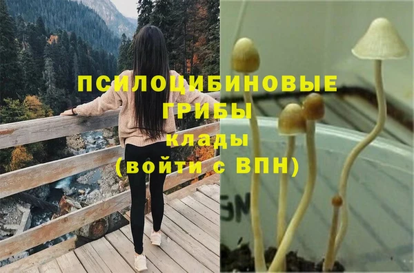 дурь Бронницы