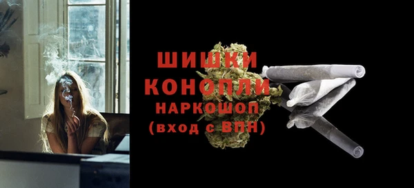 дурь Бронницы