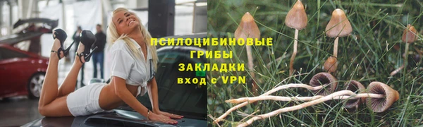 прущая мука Бугульма