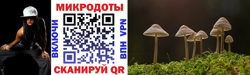мориарти Telegram  Навашино  Галлюциногенные грибы мицелий  купить наркоту 